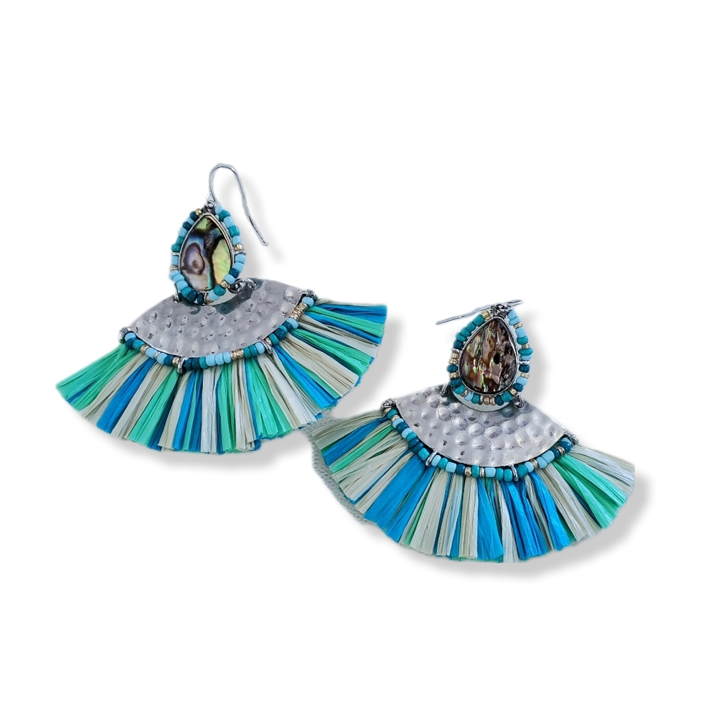Large Boho Multi Color Fan Fringe Dangle Drop Earrings